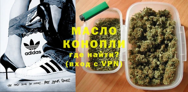 шишки Заводоуковск
