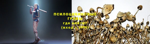 шишки Заводоуковск