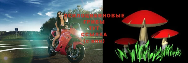скорость Заволжье