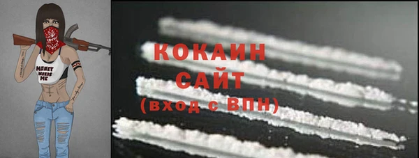 шишки Заводоуковск