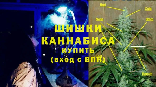 шишки Заводоуковск