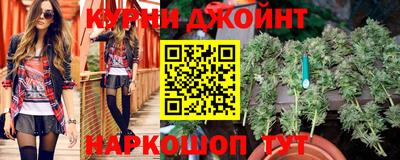 сатива Конаково