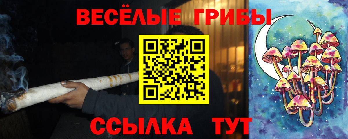 Ирбит  Псилоцибиновые грибы Psilocybe  Вход с VPN 