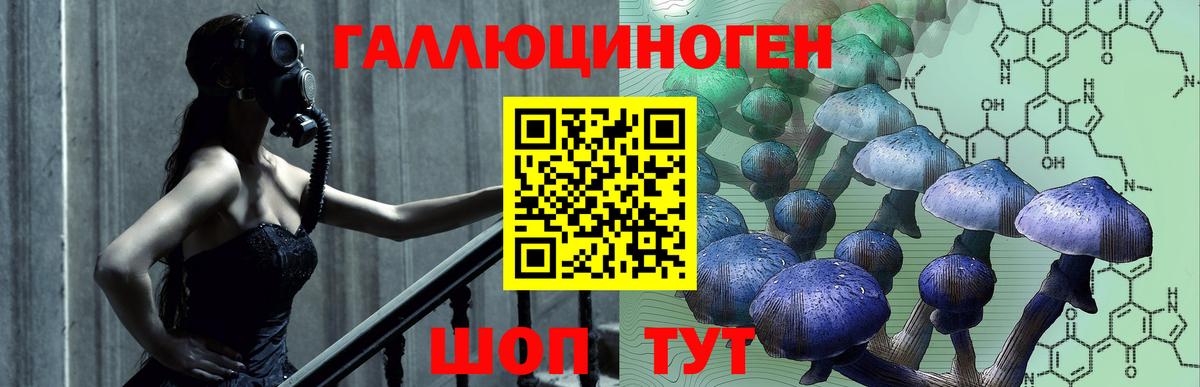 Галлюциногенные грибы прущие грибы Ирбит